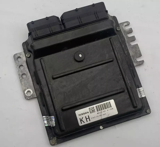 2007 NISSAN  ARMADA ECU 